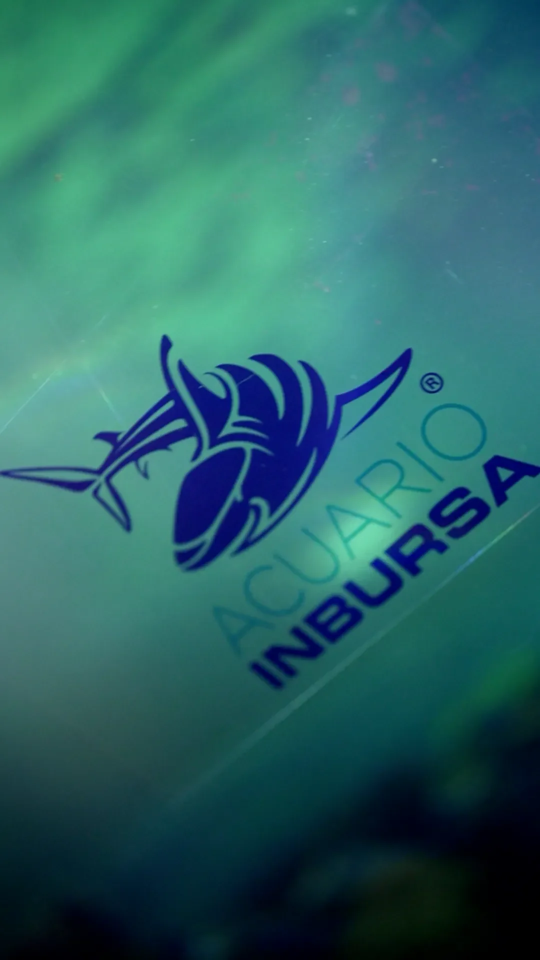 The Z Factor – Celebración Fin de año